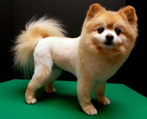 Maquina Para Cortar El Pelo A Perros Y Gatos